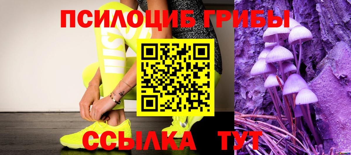 Галлюциногенные грибы мухоморы Елабуга