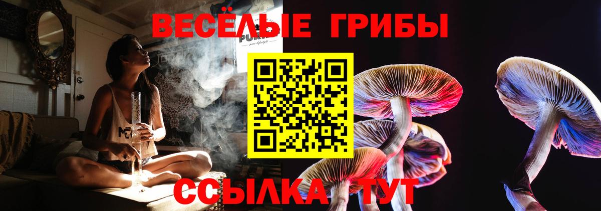 Галлюциногенные грибы Cubensis  Псилоцибиновые грибы Psilocybe  Елабуга  Вход с VPN 